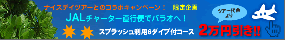 �p���I�c�A�[�̓i�C�X�f�C�c�A�[