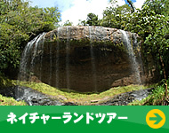 �l�C�`���[�����h�c�A�[