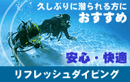 ���t���b�V���_�C�r���O