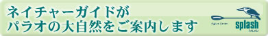 �l�C�`���[�K�C�h���p���I�̑厩�R�����ē�