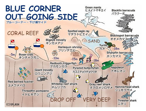 Blue Corner Out Going Side