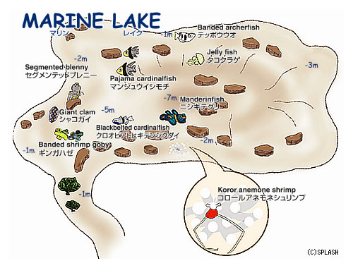 Marine Lake